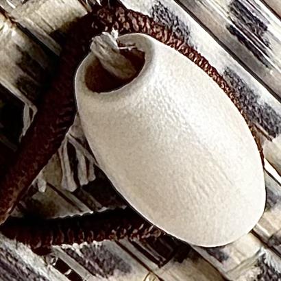 Mønstret bambusæske med 9 Belgiske gourmet dessertchokolade 120 gram