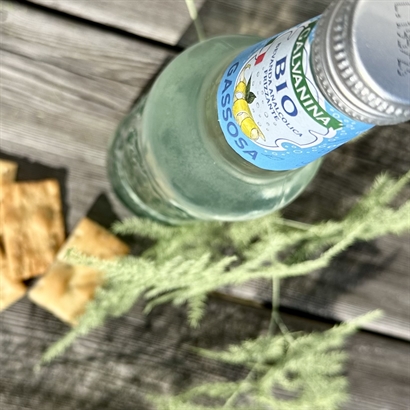 Hugo Spritz Kit med lækre Snacks