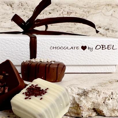 25 stk. Belgisk Gourmet Dessertchokolade i Læderlook Æske - ca. 330 gram