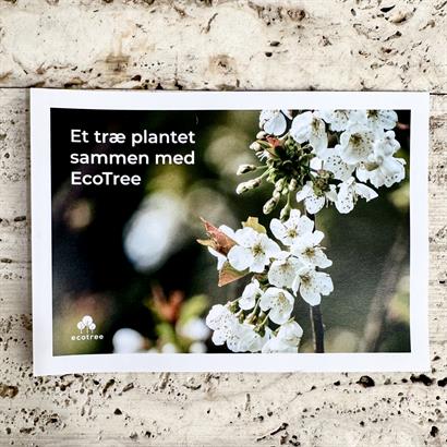 Plantera ett träd i våffelvävd bomullspåse med Lyxig Påskblandning 550 gram