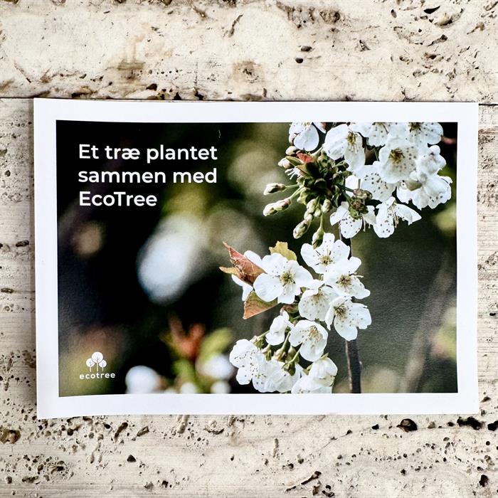 Plantera ett träd i våffelvävd bomullspåse med Lyxig Påskblandning 550 gram